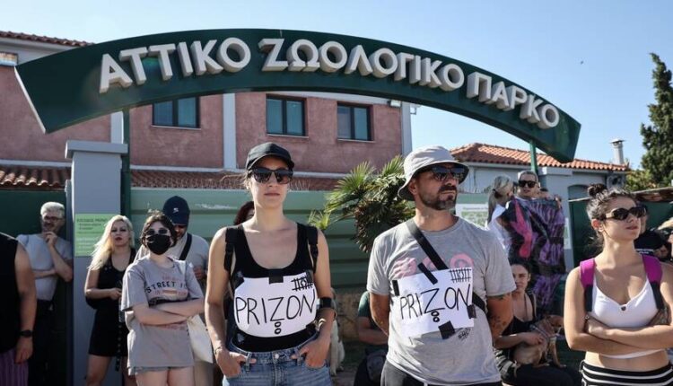 Διαμαρτυρία φιλοζωικών έξω από το Αττικό Πάρκο για τη θανάτωση του χιμπατζή: «Όχι άλλο αίμα για τα κέρδη τους» (ΦΩΤΟ)