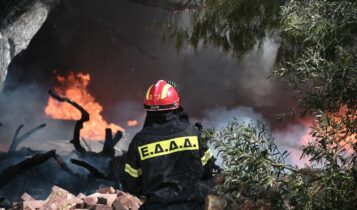 Πυρκαγιές: Εκκενώνεται η Λάττα Ηλείας, δύσκολη η κατάσταση στην Άμφισσα, φωτιά και στη Ζάκυνθο