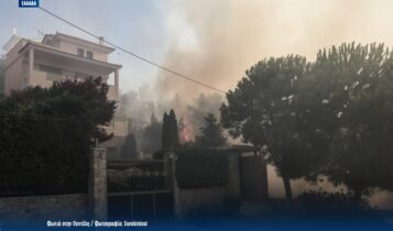 Φωτιές στην Αττική: 39 σπίτια κρίθηκαν ακατάλληλα για χρήση και 45 προσωρινά ακατάλληλα – Συνεχίζεται η αυτοψία στις περιοχές