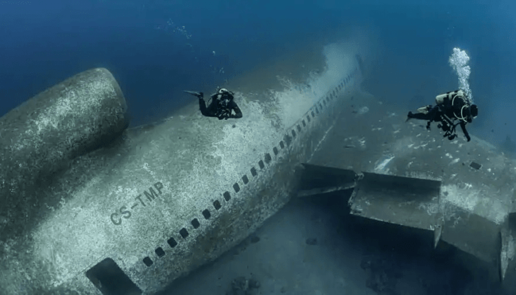 Αεροσκάφος βυθίστηκε σκοπίμως το 2019 στην Ερυθρά Θάλασσα – Παράδεισος για τουρίστες και θαλάσσια ζωή (ΦΩΤΟ)