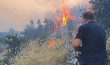 Φωτιά στη Τρίπολη: Τέθηκε υπό έλεγχο από την Πυροσβεστική