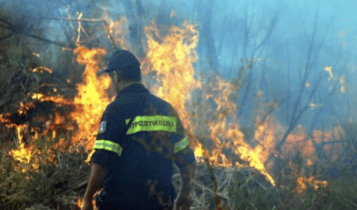 Συνελήφθη 10χρονος για εμπρησμό – Έβαζε φωτιές για να βλέπει πυροσβέστες να τις σβήνουν (VIDEO)
