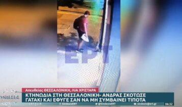 Κτηνωδία στη Θεσσαλονίκη: Άνδρας τσαλαπάτησε και σκότωσε νεογέννητο γατάκι