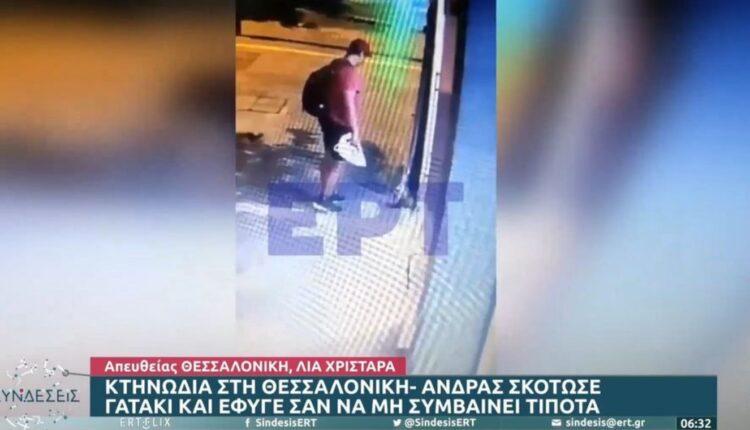 Κτηνωδία στη Θεσσαλονίκη: Άνδρας τσαλαπάτησε και σκότωσε νεογέννητο γατάκι