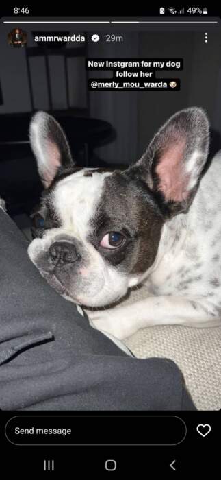 Ο Ουάρντα έκανε λογαριασμό στο Instagram για τον σκύλο του!