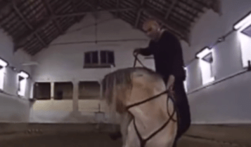 Η τούμπα του Ζιντάν από άλογο που έγινε viral (VIDEO)