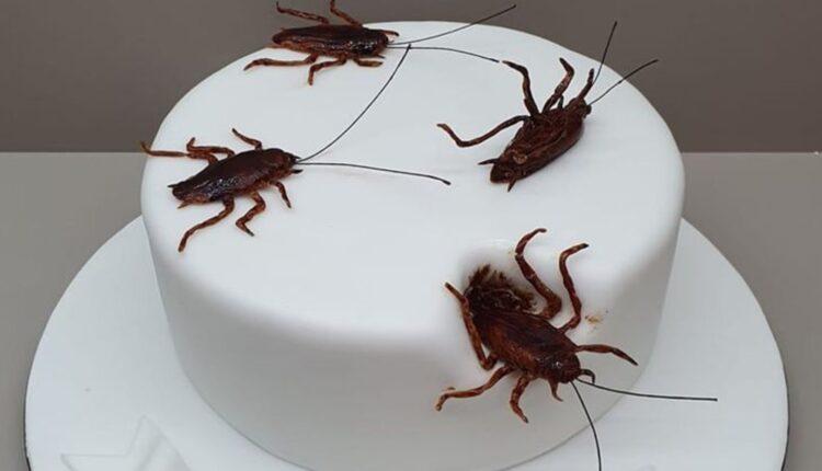 Ζαχαροπλαστείο στην Κόρινθο έφτιαξε τούρτα με… κατσαρίδες και έγινε viral (ΦΩΤΟ - VIDEO)