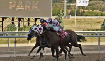 Η κορυφαία ιπποδρομία της χρονιάς τη Δευτέρα στο Markopoulo Park