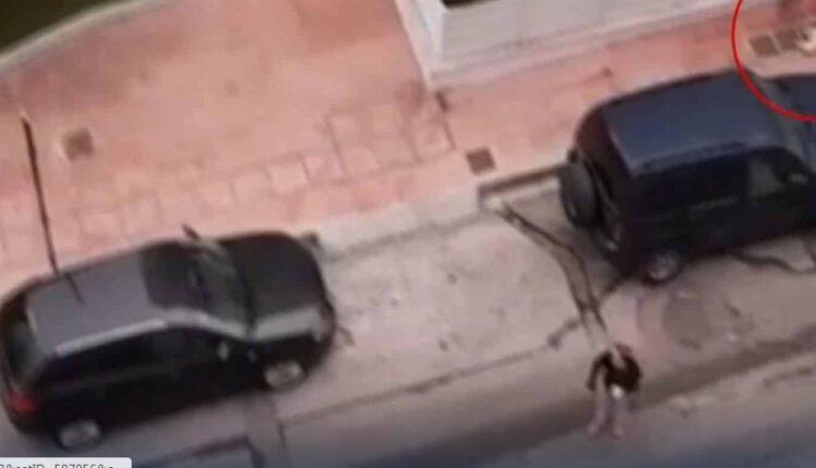 VIDEO-σοκ από τη Δραπετσώνα: Λυκόσκυλο κατασπάραξε κανίς μέσα από την αγκαλιά της ιδιοκτήτριας του