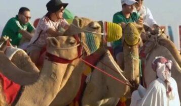 «Χτυπούν» υπερωρίες οι καμήλες με τους τουρίστες στο Κατάρ (VIDEO)