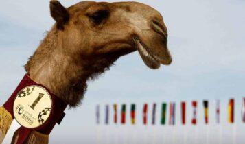 Συναγερμός για τον «ιό της καμήλας» που… έρχεται από το Μουντιάλ – «Σκοτώνει 1 στους 3 που κολλάνε»
