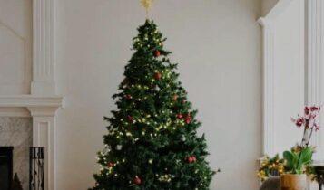 Η ιστορία του χριστουγεννιάτικου δέντρου – Ποιος στόλισε το πρώτο στην Ελλάδα