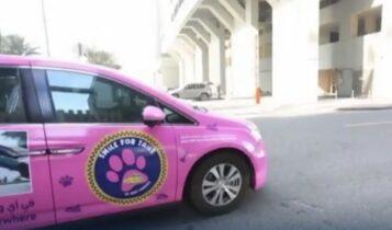 Απίστευτο: Ταξί για σκύλους στο Ντουμπάι!