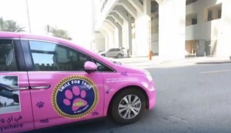 Απίστευτο: Ταξί για σκύλους στο Ντουμπάι!