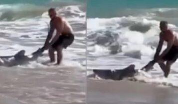 Θαρραλέος άνδρας τράβηξε καρχαρία από το πτερύγιο κι έγινε viral! (VIDEO)
