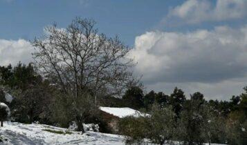 Κακοκαιρία Μπάρμπαρα: Έρχονται χιόνια ακόμη και στο κέντρο της Αθήνας, από απόψε ο χιονιάς – Η πρόγνωση