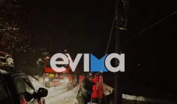 Κατέρρευσε δίκτυο της ΔΕΗ στην Εύβοια: Στέλνουν γεννήτριες σε χωριά (VIDEO)