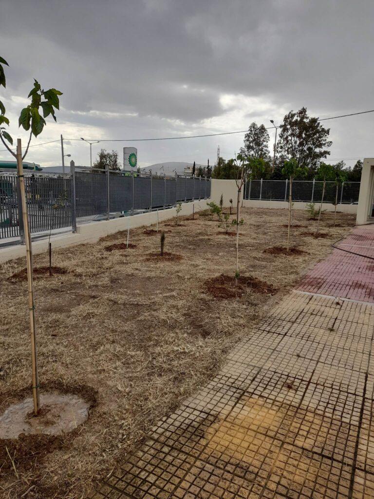 ΑΕΚ: Ξεκίνησε η φύτευση δένδρων μεταξύ της «Αγιά Σοφιάς-OPAP Arena» και του άλσους Νέας Φιλαδέλφειας (ΦΩΤΟ)