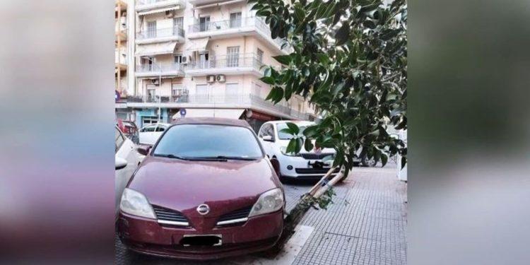 Οδηγάρα πάρκαρε πάνω σε δέντρο στη Θεσσαλονίκη (VIDEO)