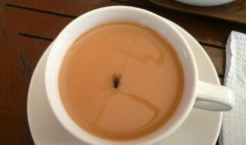 Το τσάι με τη μύγα: Αν λύσεις τον γρίφο που δεν λύνει κανείς σε λιγότερο από 1′ ανήκεις στους πιο ευφυείς Έλληνες