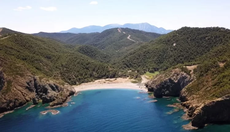 Δαφνοπόταμος: Η μαγική ερημική παραλία της Εύβοιας (VIDEO)