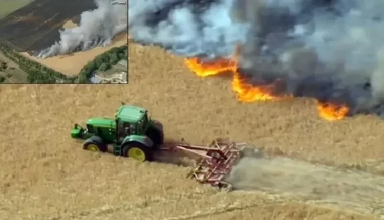 Aγρότης ήρωας: Σταμάτησε ολομόναχος μεγάλη φωτιά με την πιο έξυπνη κίνηση - Μάθημα για την Ελλάδα (VIDEO)