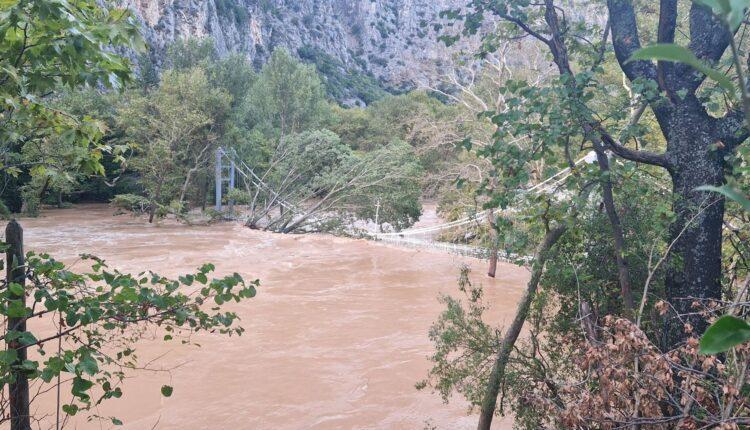 Κακοκαιρία «Daniel»: Τα ορμητικά νερά του Πηνειού έφτασαν τα 18 μέτρα και κάλυψαν την κρεμαστή γέφυρα στη κοιλάδα των Τεμπών (ΦΩΤΟ)