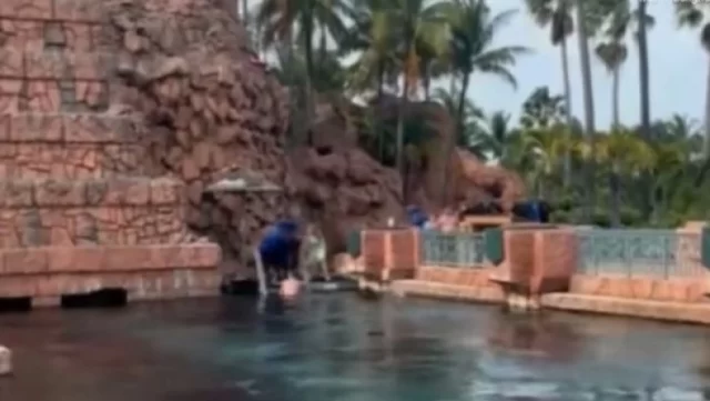 VIDEO που «κόβει» την ανάσα: Η στιγμή που 10χρονος δέχεται επίθεση από καρχαρία