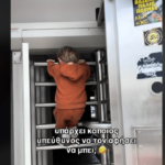 Η ΑΕΚ τρελαίνει μικρούς και μεγάλους - Ο μπόμπιρας που σκαρφάλωσε στην «OPAP Arena - Αγιά Σοφιά» και έγινε viral! (VIDEO)