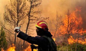 Γιατί έχουμε πυρκαγιές από τον Μάρτιο – Συναγερμός από την Πυροσβεστική για τον καθαρισμό των οικοπέδων