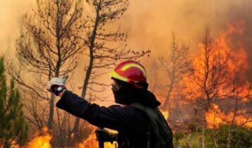 Γιατί έχουμε πυρκαγιές από τον Μάρτιο – Συναγερμός από την Πυροσβεστική για τον καθαρισμό των οικοπέδων