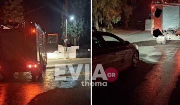 Χαλκίδα: Πέταξαν σκύλο σε κάδο απορριμμάτων και τον έκαψαν