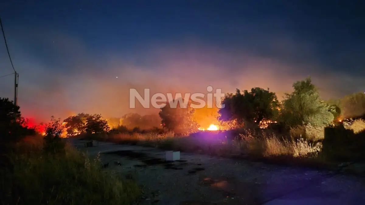 Φωτιά στα Λιόσια, κοντά στο γήπεδο μπάσκετ της ΑΕΚ!